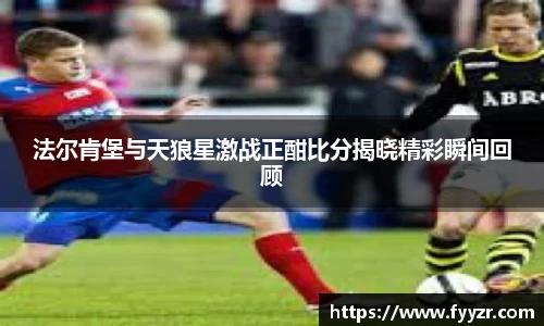JN体育