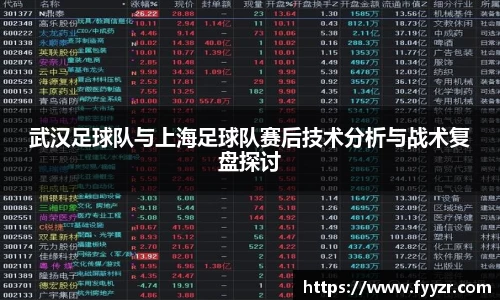 武汉足球队与上海足球队赛后技术分析与战术复盘探讨